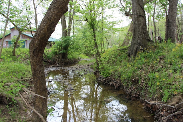 view of mother earth's splendor with a water view