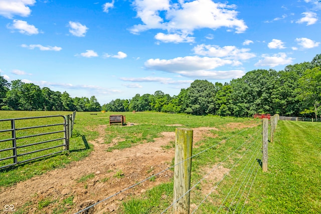 view of yard with a rural view