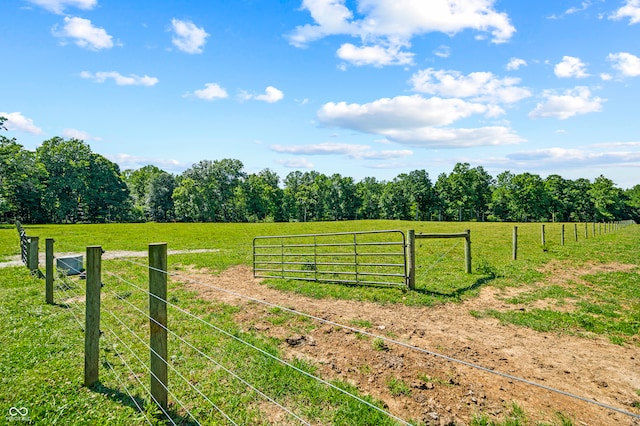 view of yard featuring a rural view