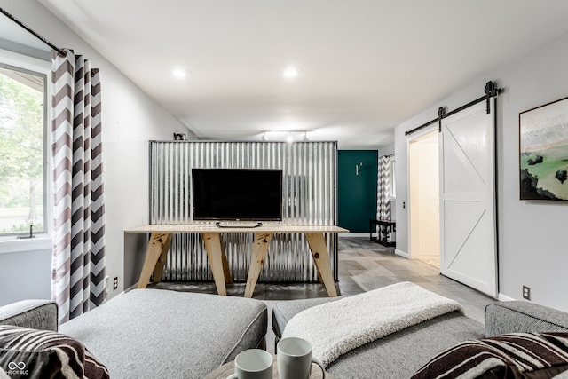 living room featuring a barn door