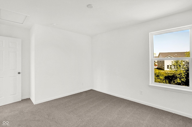 carpeted spare room with plenty of natural light