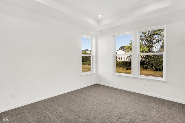 empty room featuring a healthy amount of sunlight and carpet floors