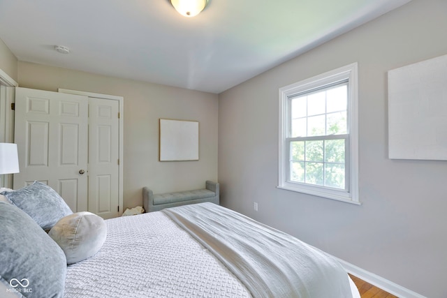 bedroom with a closet and hardwood / wood-style floors