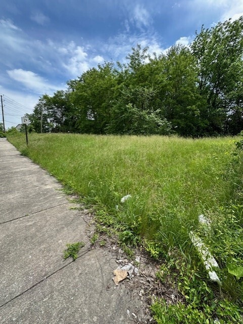 1617 E 18th St, Indianapolis IN, 46218 land for sale