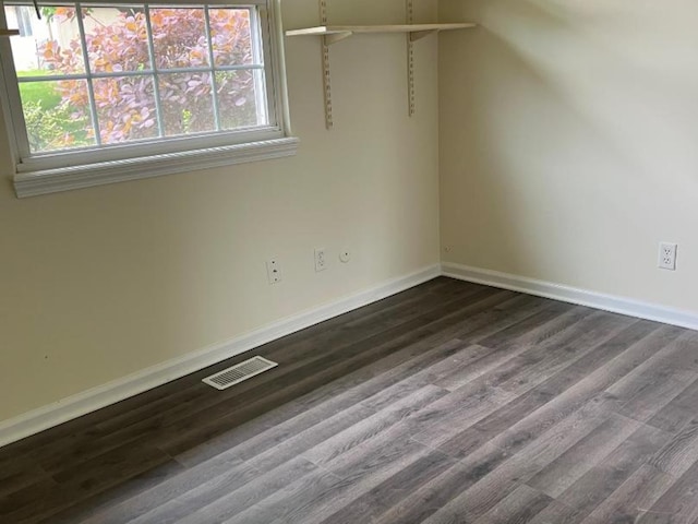 interior space featuring a wealth of natural light and dark hardwood / wood-style flooring