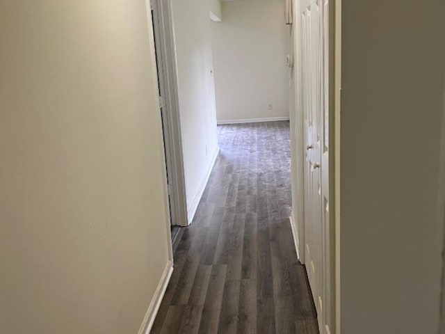 hall featuring dark hardwood / wood-style floors