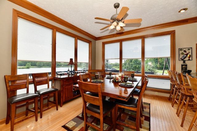 dining space featuring ceiling fan, light hardwood / wood-style floors, and crown molding