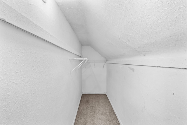 walk in closet featuring lofted ceiling and carpet