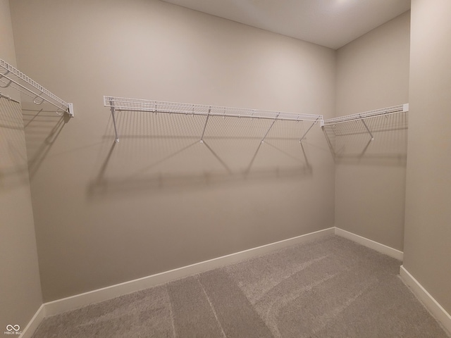 walk in closet featuring carpet flooring