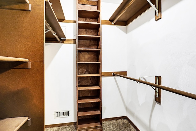 walk in closet featuring carpet floors