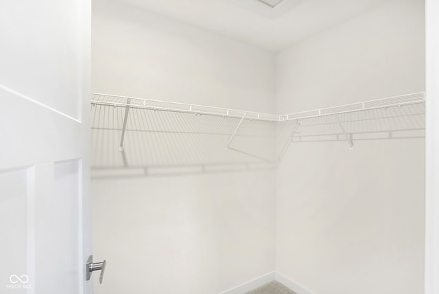 view of spacious closet