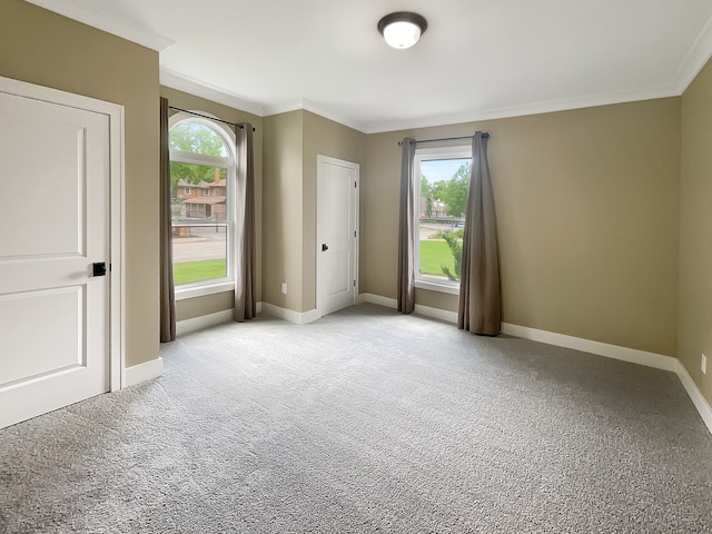 carpeted spare room with ornamental molding