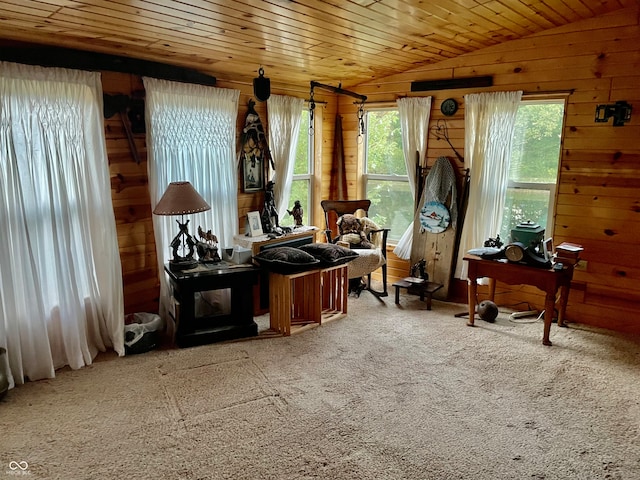 misc room featuring carpet flooring, wooden ceiling, lofted ceiling, and wood walls