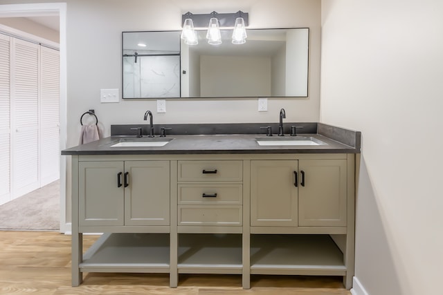 bathroom featuring wood-type flooring and double vanity