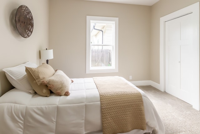 bedroom featuring carpet flooring