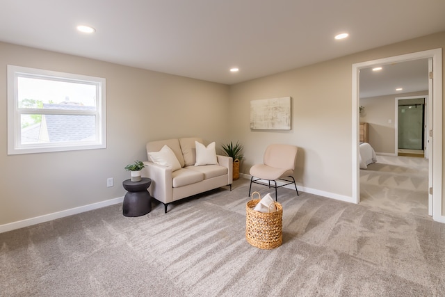 sitting room with carpet flooring