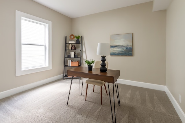 office space featuring a wealth of natural light and carpet floors