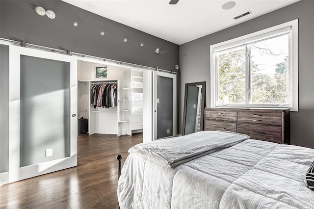 bedroom featuring ceiling fan, dark hardwood / wood-style flooring, a closet, and a spacious closet