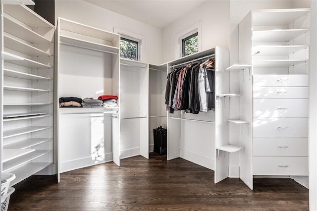 spacious closet featuring hardwood / wood-style flooring