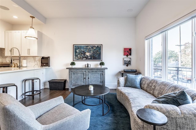 living room featuring sink and dark wood-type flooring