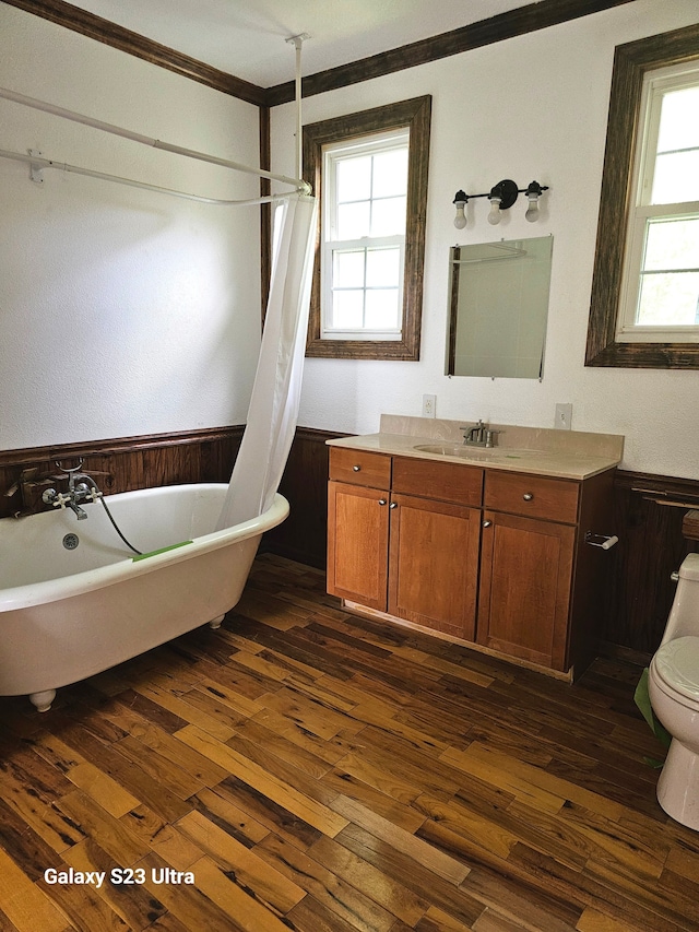 bathroom featuring a wealth of natural light, hardwood / wood-style floors, vanity, and toilet