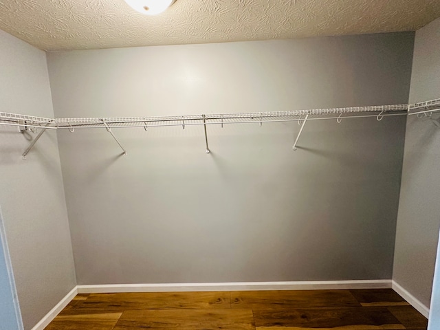 walk in closet featuring dark hardwood / wood-style flooring