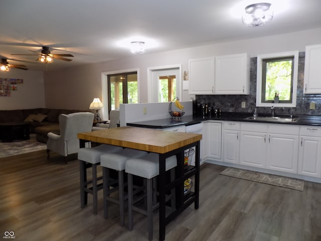 kitchen featuring ceiling fan, backsplash, dark hardwood / wood-style floors, and sink