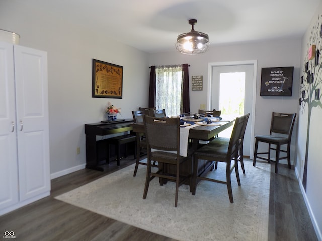 dining space with hardwood / wood-style flooring