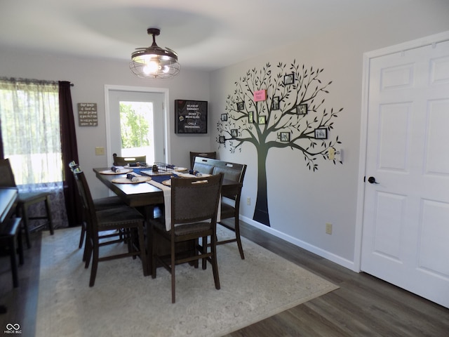 dining room with dark hardwood / wood-style flooring