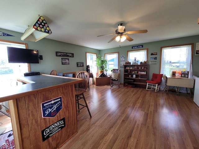 interior space featuring a healthy amount of sunlight, hardwood / wood-style floors, and ceiling fan