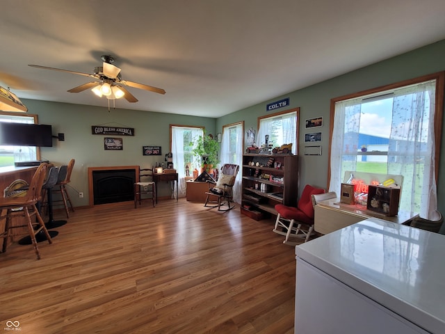 living room with wood-type flooring and ceiling fan