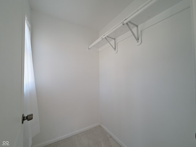 spacious closet featuring carpet flooring