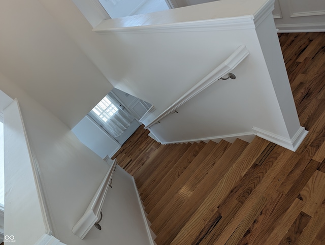 staircase with hardwood / wood-style flooring