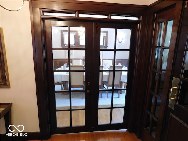 details with french doors and wood-type flooring