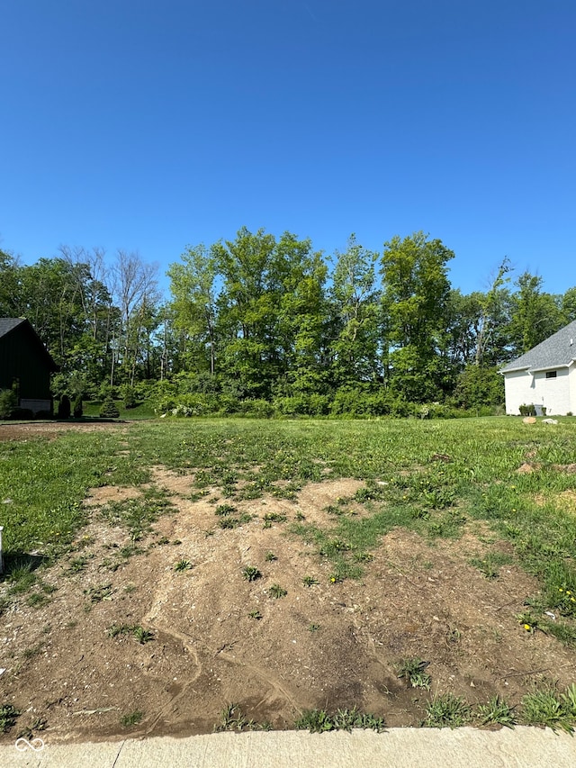 285 Chatham Hills Blvd, Westfield IN, 46074 land for sale