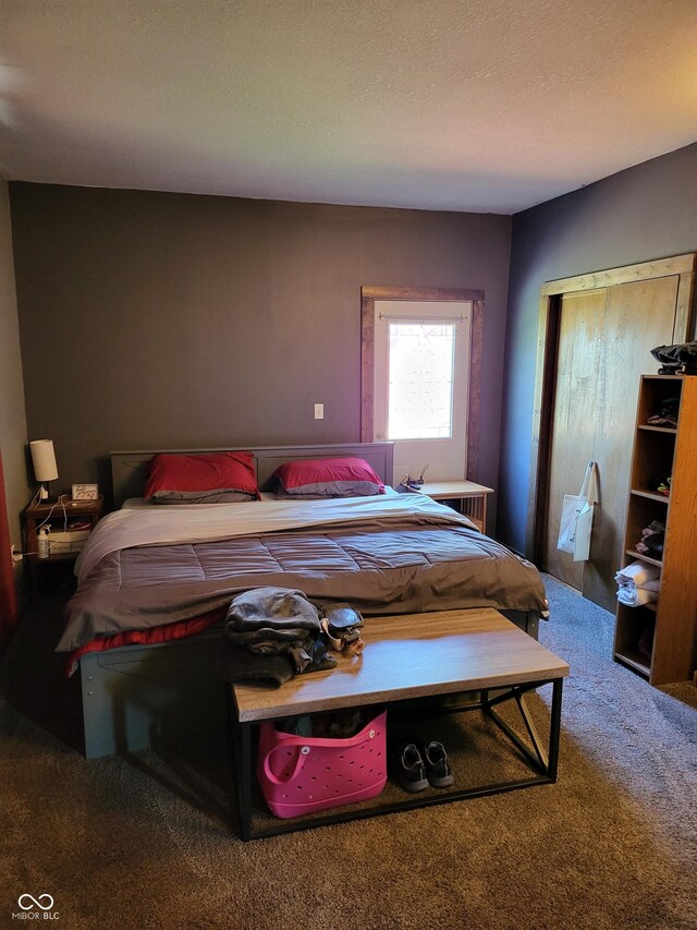 715 5th St, Covington, IN 47932 - carpeted bedroom with a closet and a textured ceiling