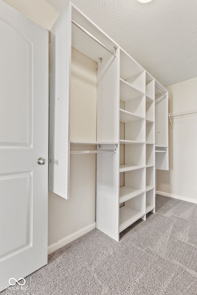 spacious closet with carpet