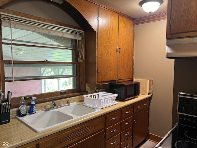 kitchen with range with electric stovetop and sink