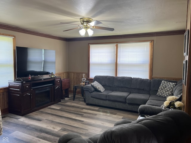 living room with ornamental molding, light hardwood / wood-style floors, and ceiling fan