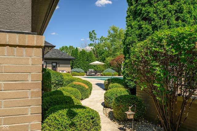 view of yard featuring a patio area