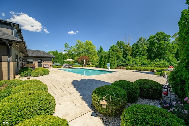 view of swimming pool with a patio area