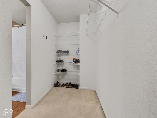 walk in closet with carpet floors