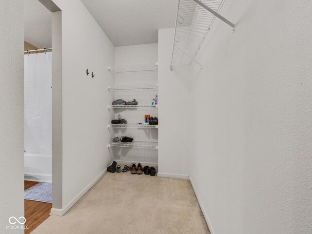 walk in closet with carpet floors