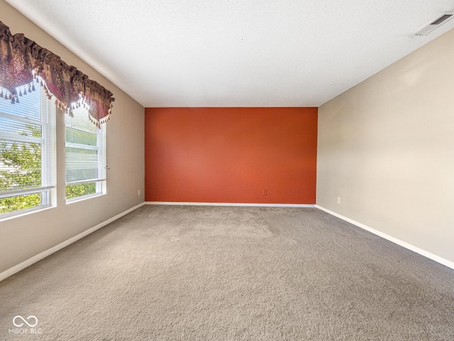 carpeted spare room with a wealth of natural light