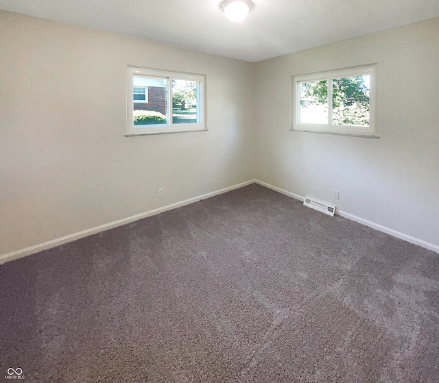 spare room with carpet and a healthy amount of sunlight