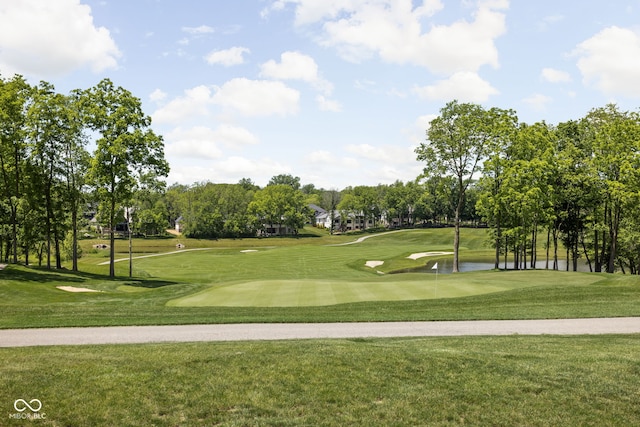 view of home's community featuring a yard