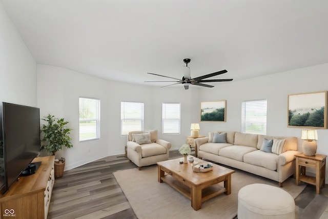 living room featuring ceiling fan and wood-type flooring