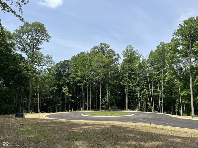 10379 Dartmoor Way, Zionsville, IN 46077 - photo 1
