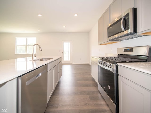 kitchen with dark hardwood / wood-style flooring, sink, and stainless steel appliances