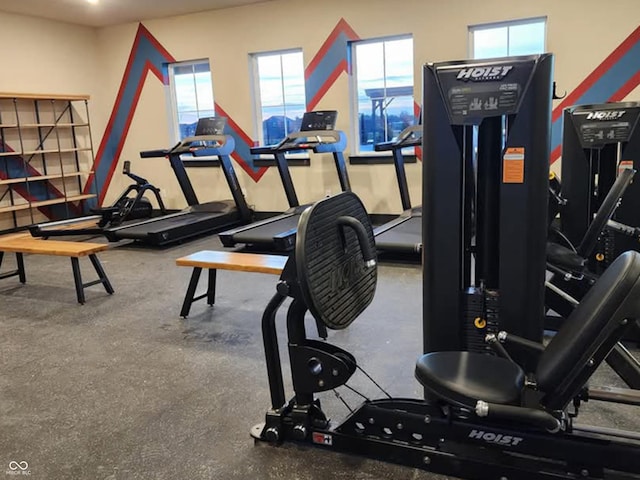 exercise room featuring a wealth of natural light